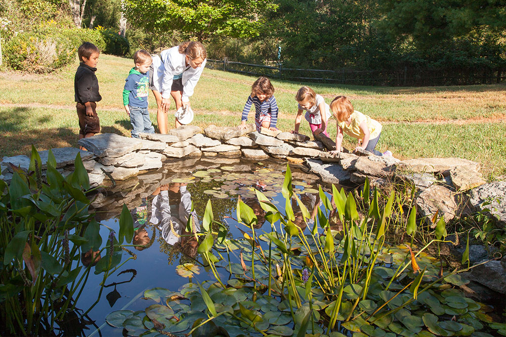kids-pond-5679