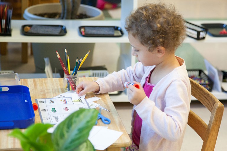 Pre-primary and Kindergarden child coloring